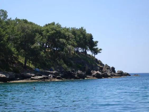 Okurcalar